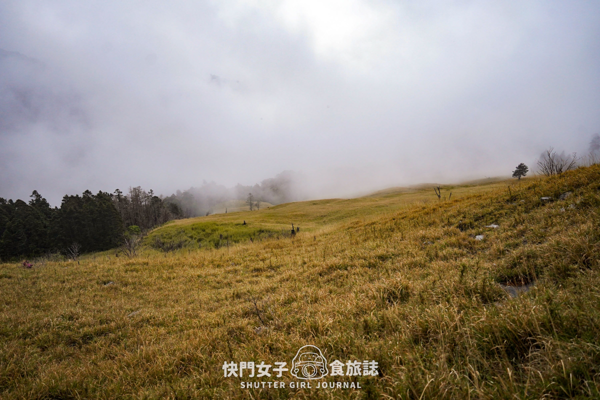 【雪山北峰】雪北單攻 x 穿越黑森林碎石坡 x 欣賞高山杜鵑圈谷 x 可愛夢幻雪北山屋 - 第61張圖 【雪山北峰】雪北單攻 x 穿越黑森林碎石坡 x 欣賞高山杜鵑圈谷 x 可愛夢幻雪北山屋