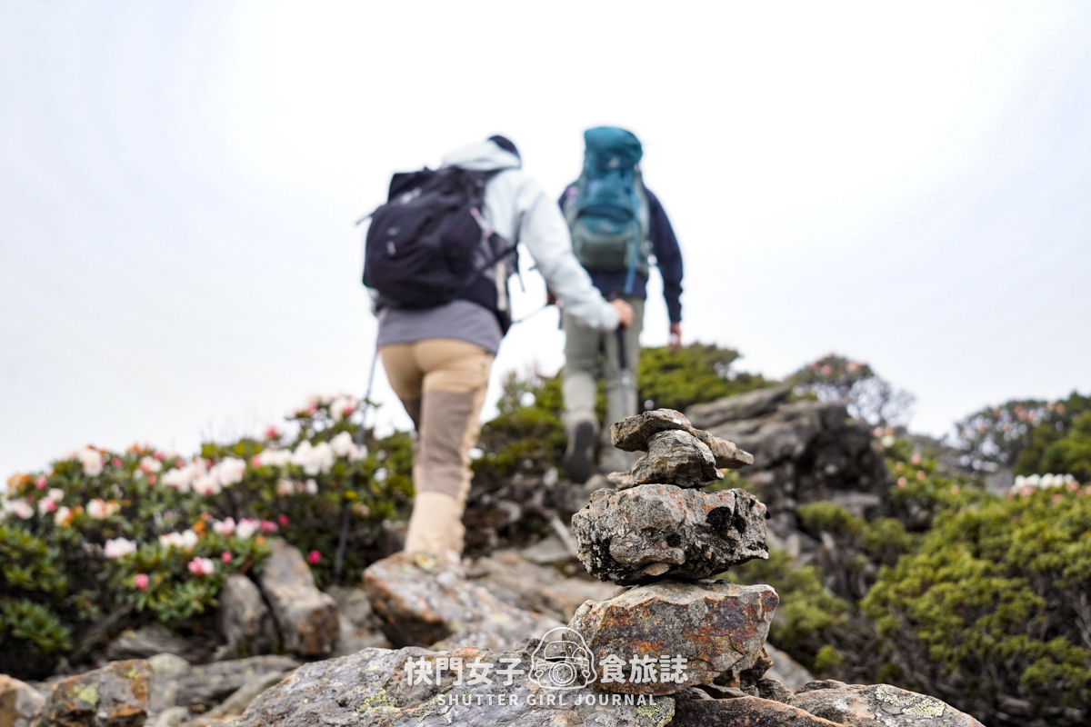 【雪山北峰】雪北單攻 x 穿越黑森林碎石坡 x 欣賞高山杜鵑圈谷 x 可愛夢幻雪北山屋 - 第62張圖 【雪山北峰】雪北單攻 x 穿越黑森林碎石坡 x 欣賞高山杜鵑圈谷 x 可愛夢幻雪北山屋