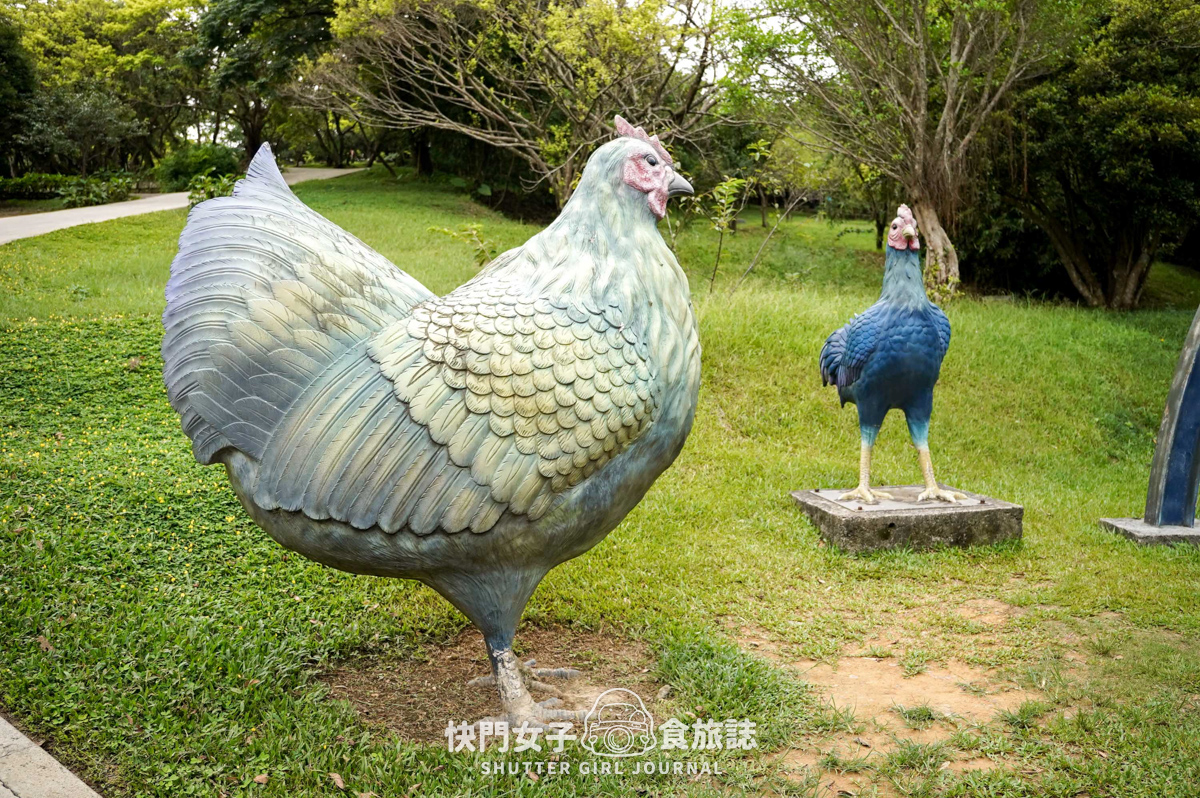 【大武崙山】大武崙山 x 基隆小百岳 x 情人湖環湖步道 x 欣賞海岸老鷹 - 第5張圖 【大武崙山】大武崙山 x 基隆小百岳 x 情人湖環湖步道 x 欣賞海岸老鷹