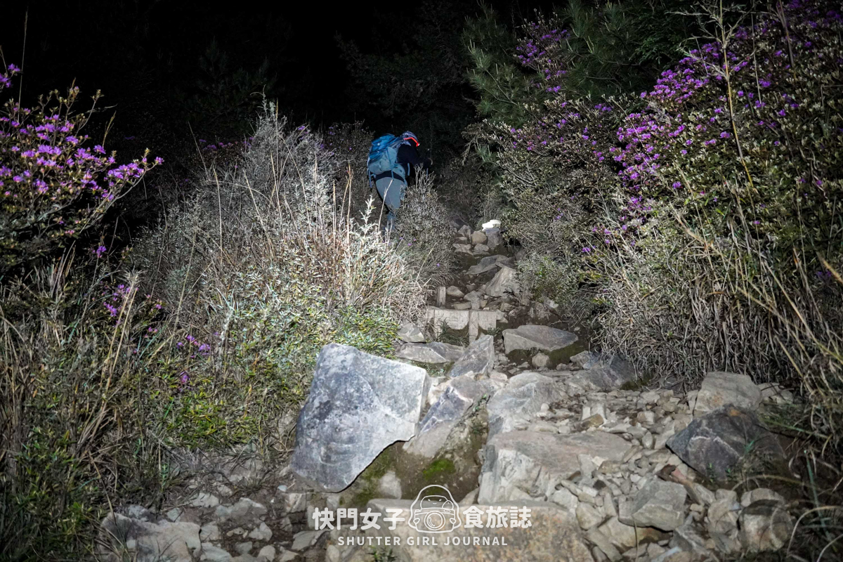 【雪山北峰】雪北單攻 x 穿越黑森林碎石坡 x 欣賞高山杜鵑圈谷 x 可愛夢幻雪北山屋 - 第9張圖 【雪山北峰】雪北單攻 x 穿越黑森林碎石坡 x 欣賞高山杜鵑圈谷 x 可愛夢幻雪北山屋