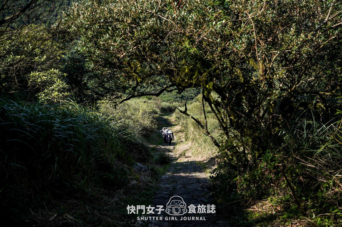 【大屯山連峰步道】陽明山小百岳大屯山主峰 x 台北大縱走第二段 x 挑戰西峰南峰濕滑拉繩泥巴地形