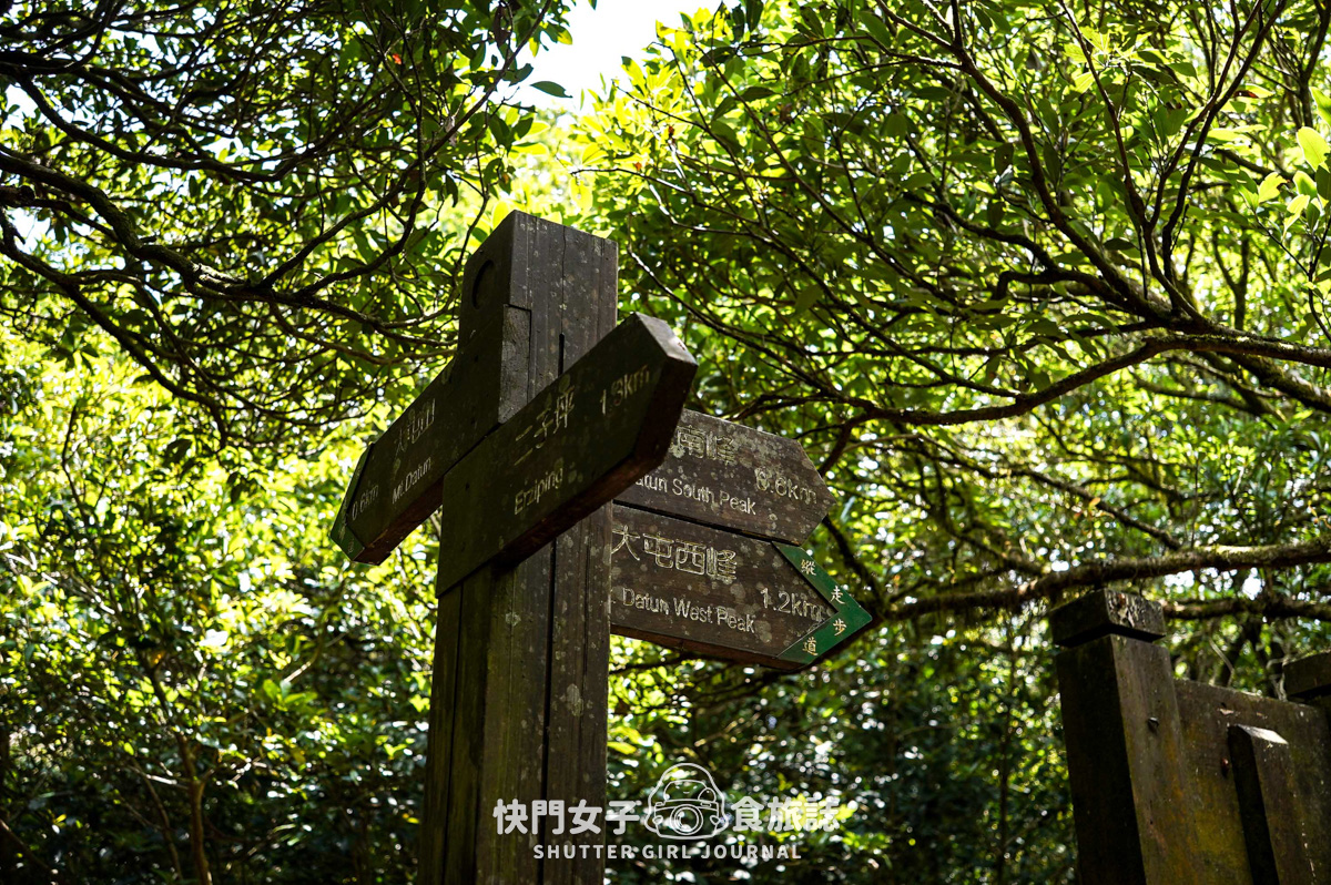 【大屯山連峰步道】陽明山小百岳大屯山主峰 x 台北大縱走第二段 x 挑戰西峰南峰濕滑拉繩泥巴地形