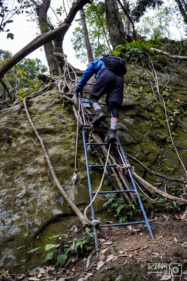 15桃園新竹小百岳石牛山步道拉繩攀岩五寮尖.jpg