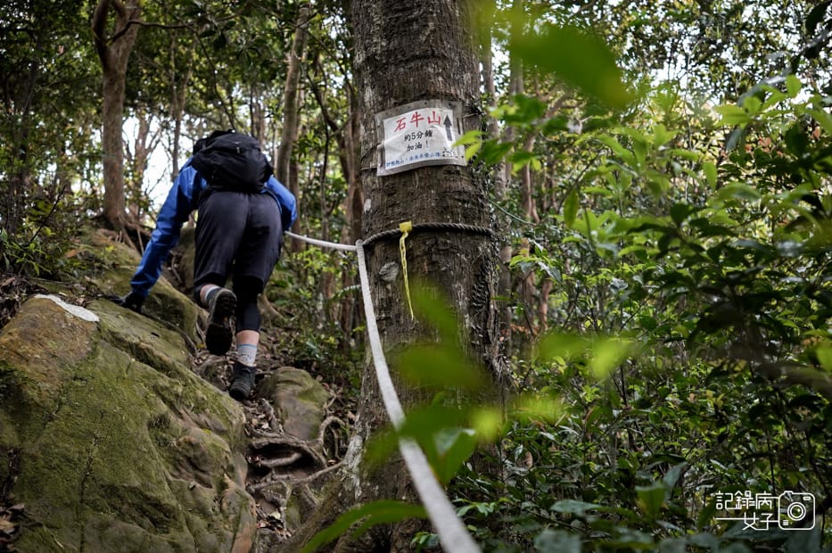 19桃園新竹小百岳石牛山步道拉繩攀岩五寮尖.jpg