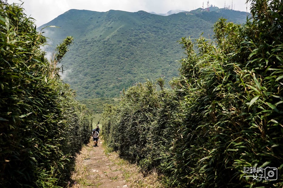 61健行筆記台北大縱走大屯山連峰步道陽明山小百岳大屯山主峰西峰南峰百大必訪步道.jpg
