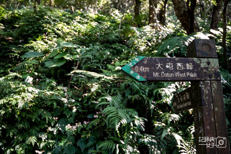 26健行筆記台北大縱走大屯山連峰步道陽明山小百岳大屯山主峰西峰南峰百大必訪步道.jpg