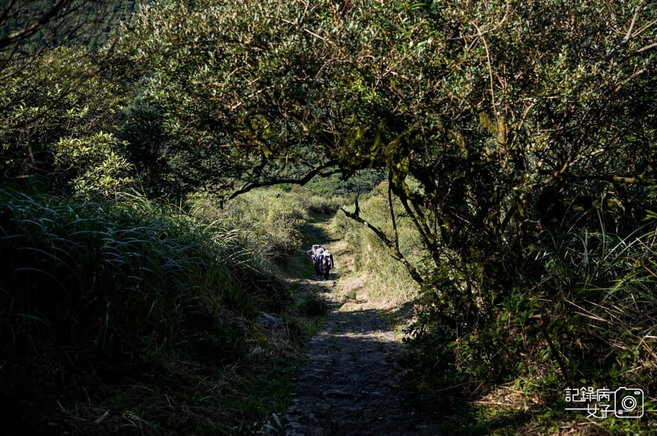 17健行筆記台北大縱走大屯山連峰步道陽明山小百岳大屯山主峰西峰南峰百大必訪步道.jpg