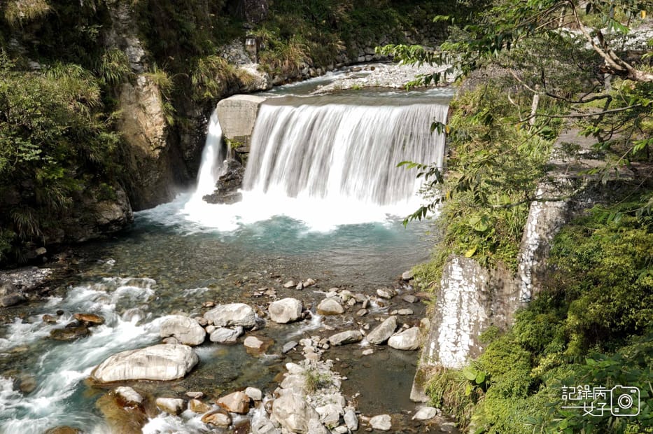 23台中和平區谷關七雄八仙山國家森林遊樂區健行筆記步道山頂鳥.jpg 23台中和平區谷關七雄八仙山國家森林遊樂區健行筆記步道山頂鳥.jpg