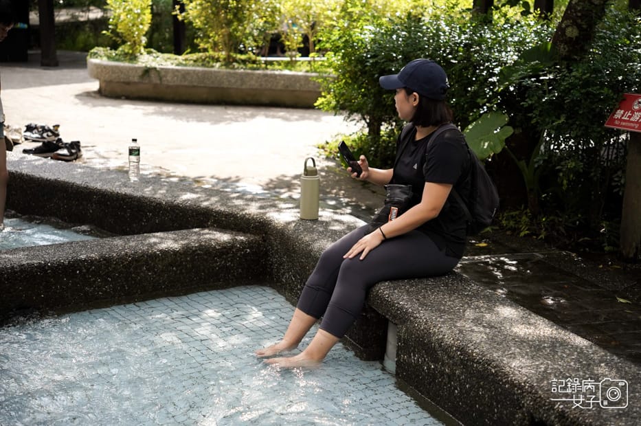 25台中和平區谷關七雄八仙山國家森林遊樂區健行筆記步道山頂鳥.jpg 25台中和平區谷關七雄八仙山國家森林遊樂區健行筆記步道山頂鳥.jpg