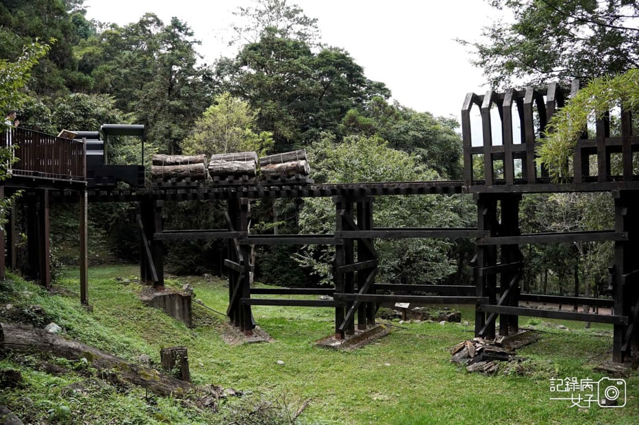 20台中和平區谷關七雄八仙山國家森林遊樂區健行筆記步道山頂鳥.jpg 20台中和平區谷關七雄八仙山國家森林遊樂區健行筆記步道山頂鳥.jpg