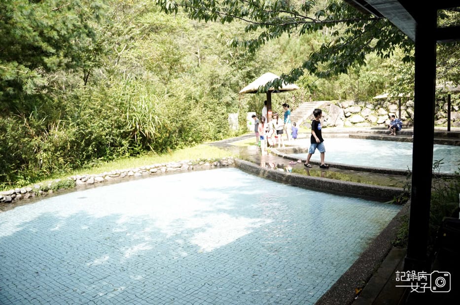 26台中和平區谷關七雄八仙山國家森林遊樂區健行筆記步道山頂鳥.jpg 26台中和平區谷關七雄八仙山國家森林遊樂區健行筆記步道山頂鳥.jpg