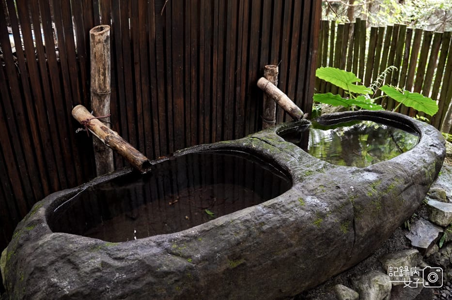 17台中和平區谷關七雄八仙山國家森林遊樂區健行筆記步道山頂鳥.jpg 17台中和平區谷關七雄八仙山國家森林遊樂區健行筆記步道山頂鳥.jpg