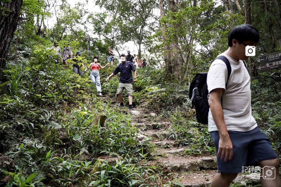 11台中和平區谷關七雄八仙山國家森林遊樂區健行筆記步道山頂鳥.jpg 11台中和平區谷關七雄八仙山國家森林遊樂區健行筆記步道山頂鳥.jpg