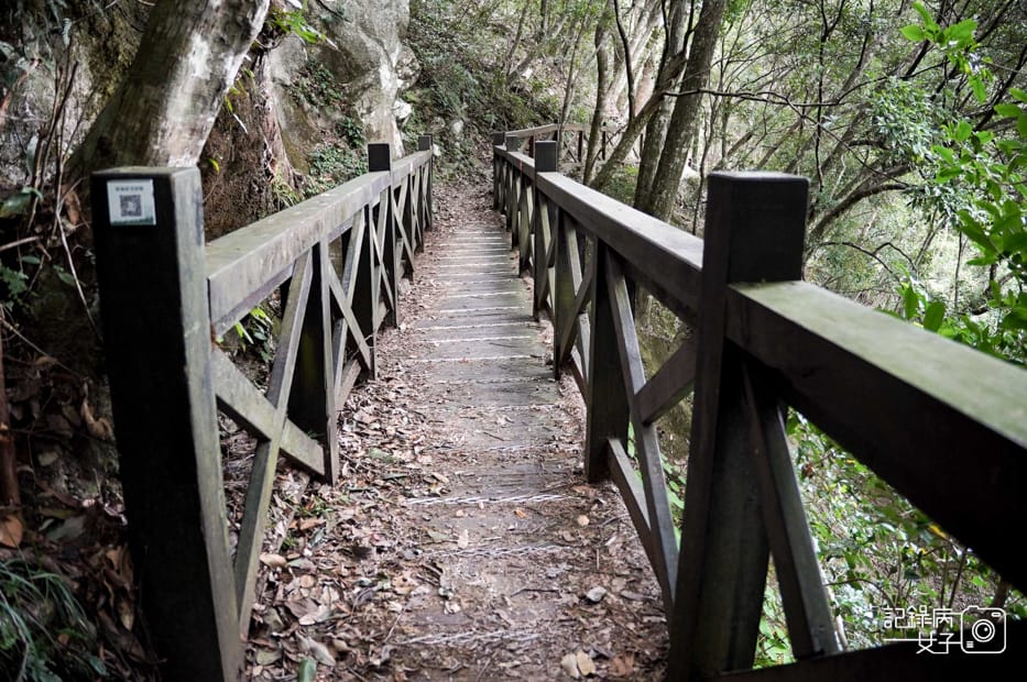 10台中和平區谷關七雄八仙山國家森林遊樂區健行筆記步道山頂鳥.jpg 10台中和平區谷關七雄八仙山國家森林遊樂區健行筆記步道山頂鳥.jpg