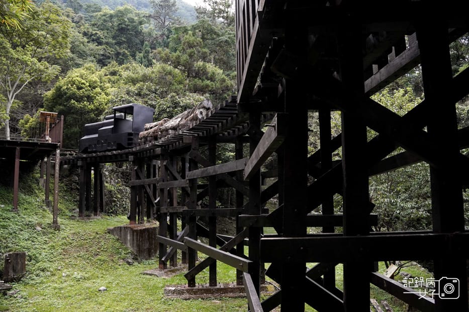 21台中和平區谷關七雄八仙山國家森林遊樂區健行筆記步道山頂鳥.jpg 21台中和平區谷關七雄八仙山國家森林遊樂區健行筆記步道山頂鳥.jpg