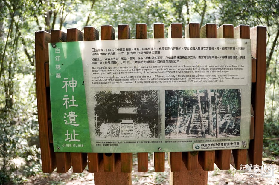 13台中和平區谷關七雄八仙山國家森林遊樂區健行筆記步道山頂鳥.jpg 13台中和平區谷關七雄八仙山國家森林遊樂區健行筆記步道山頂鳥.jpg