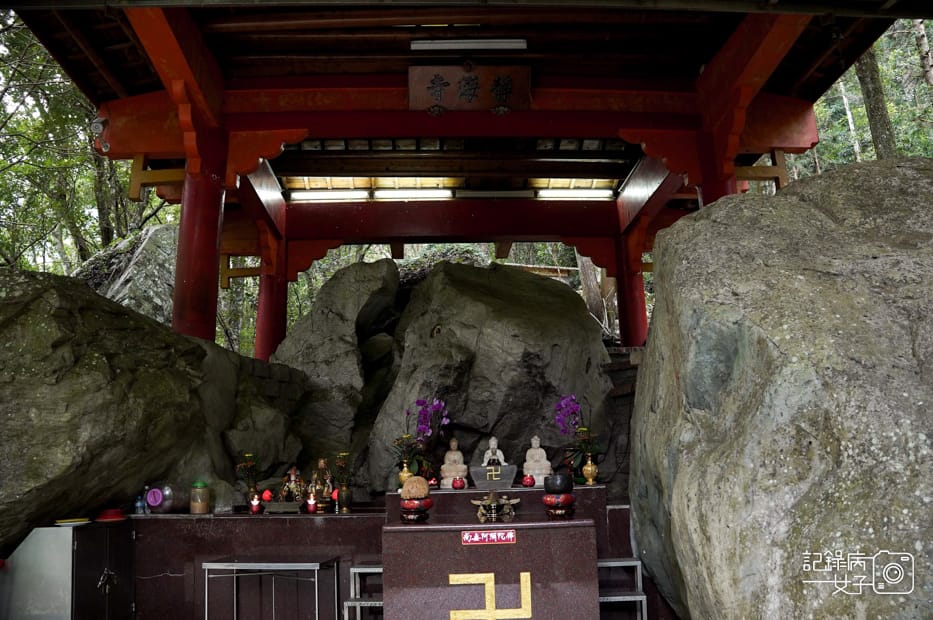 15台中和平區谷關七雄八仙山國家森林遊樂區健行筆記步道山頂鳥.jpg 15台中和平區谷關七雄八仙山國家森林遊樂區健行筆記步道山頂鳥.jpg