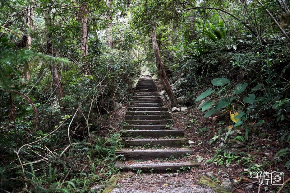 8台中和平區谷關七雄八仙山國家森林遊樂區健行筆記步道山頂鳥.jpg 8台中和平區谷關七雄八仙山國家森林遊樂區健行筆記步道山頂鳥.jpg