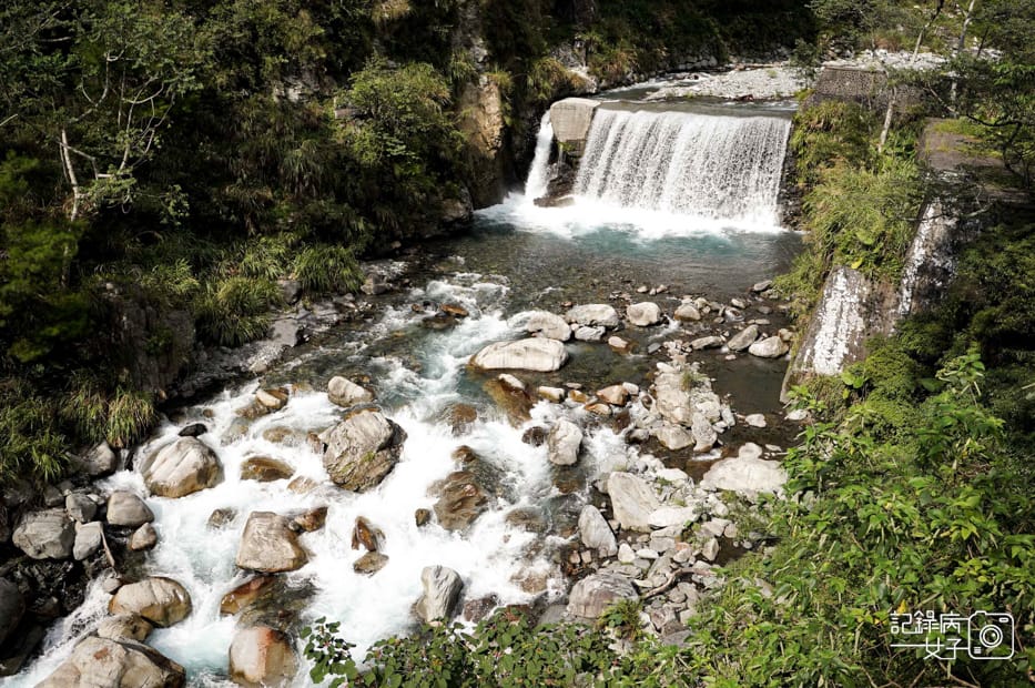 22台中和平區谷關七雄八仙山國家森林遊樂區健行筆記步道山頂鳥.jpg 22台中和平區谷關七雄八仙山國家森林遊樂區健行筆記步道山頂鳥.jpg