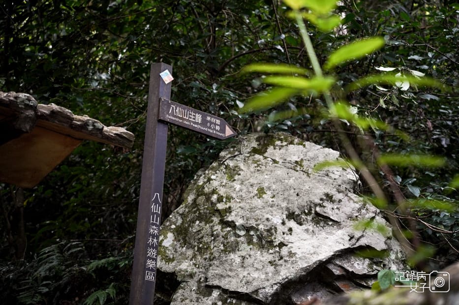 7台中和平區谷關七雄八仙山國家森林遊樂區健行筆記步道山頂鳥.jpg 7台中和平區谷關七雄八仙山國家森林遊樂區健行筆記步道山頂鳥.jpg