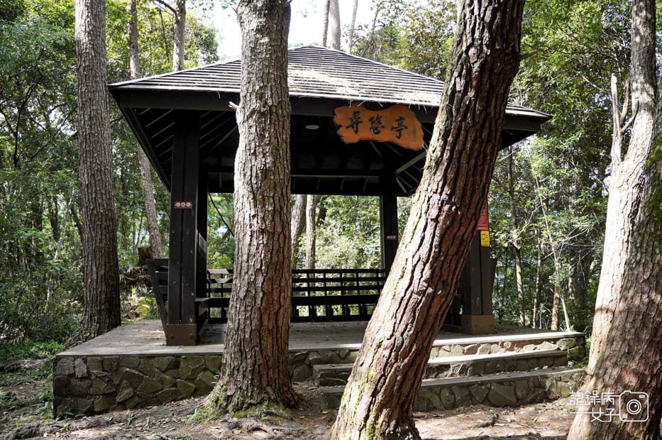 14台中和平區谷關七雄八仙山國家森林遊樂區健行筆記步道山頂鳥.jpg 14台中和平區谷關七雄八仙山國家森林遊樂區健行筆記步道山頂鳥.jpg