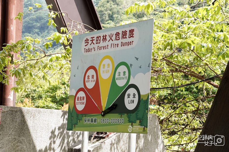 2台中和平區谷關七雄八仙山國家森林遊樂區健行筆記步道山頂鳥.jpg 2台中和平區谷關七雄八仙山國家森林遊樂區健行筆記步道山頂鳥.jpg