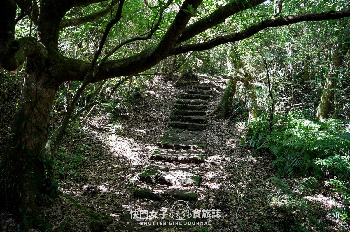 【大屯山連峰步道】陽明山小百岳大屯山主峰 x 台北大縱走第二段 x 挑戰西峰南峰濕滑拉繩泥巴地形