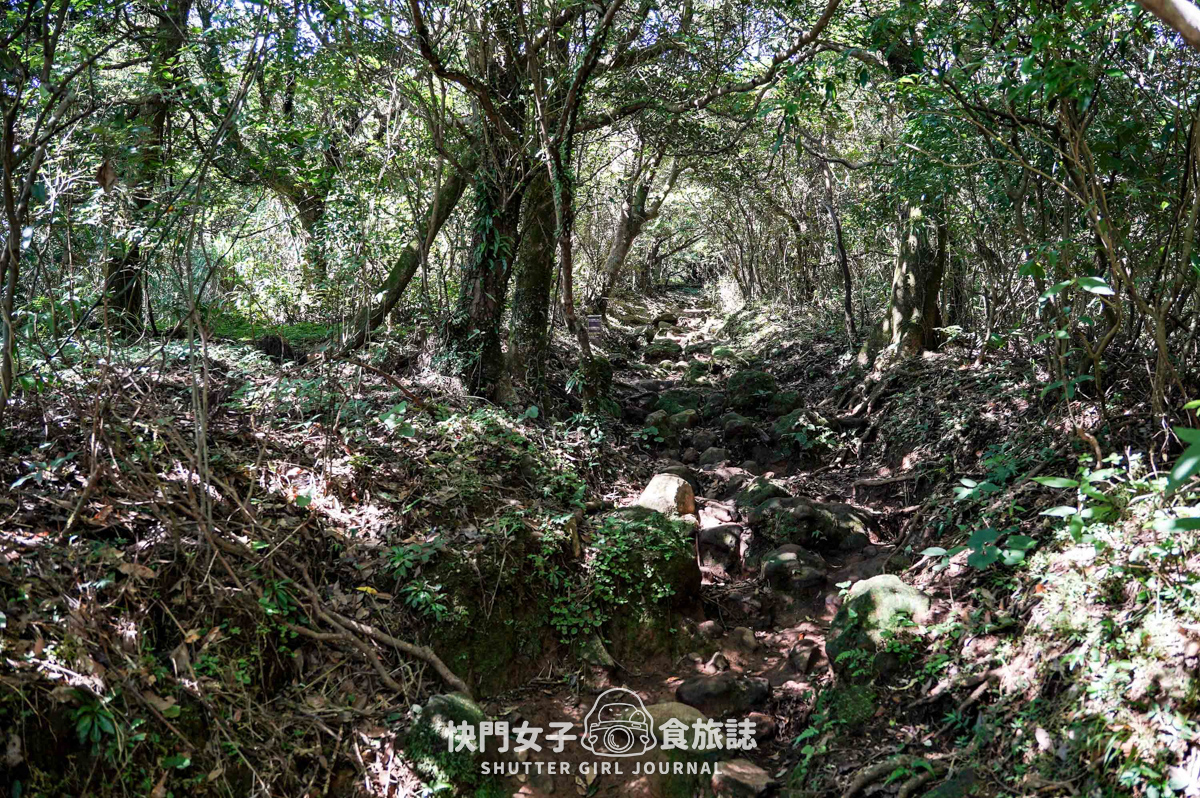 【大屯山連峰步道】陽明山小百岳大屯山主峰 x 台北大縱走第二段 x 挑戰西峰南峰濕滑拉繩泥巴地形