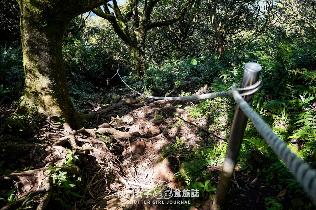 【大屯山連峰步道】陽明山小百岳大屯山主峰 x 台北大縱走第二段 x 挑戰西峰南峰濕滑拉繩泥巴地形