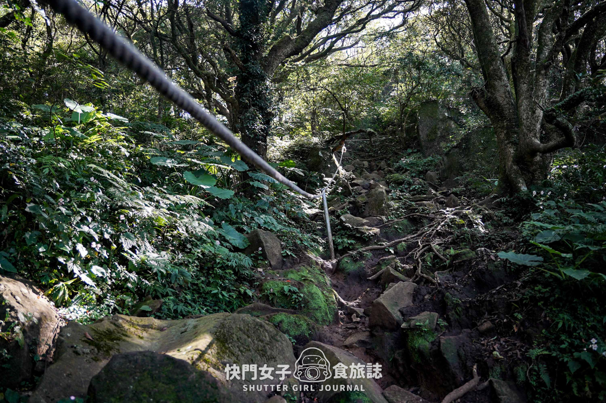【大屯山連峰步道】陽明山小百岳大屯山主峰 x 台北大縱走第二段 x 挑戰西峰南峰濕滑拉繩泥巴地形