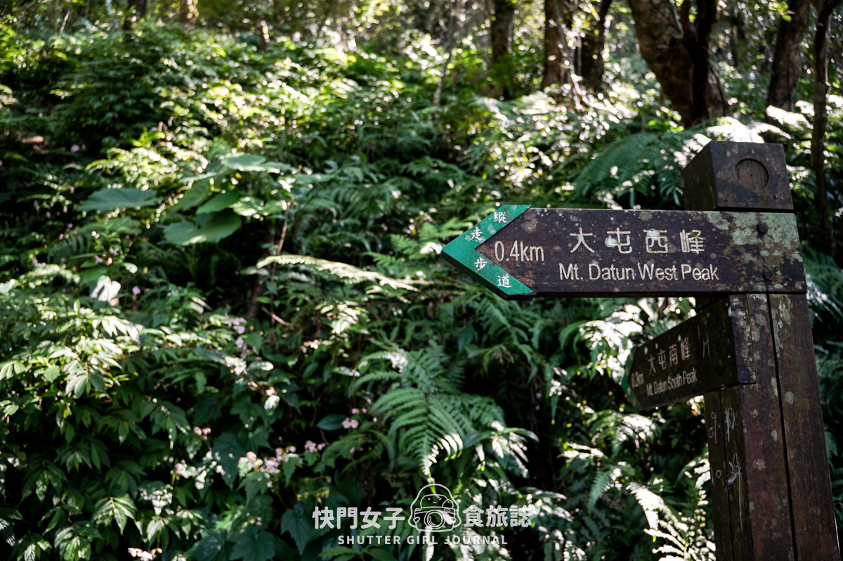【大屯山連峰步道】陽明山小百岳大屯山主峰 x 台北大縱走第二段 x 挑戰西峰南峰濕滑拉繩泥巴地形
