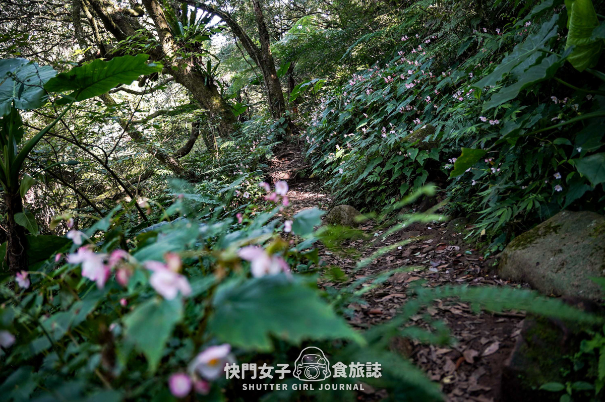 【大屯山連峰步道】陽明山小百岳大屯山主峰 x 台北大縱走第二段 x 挑戰西峰南峰濕滑拉繩泥巴地形
