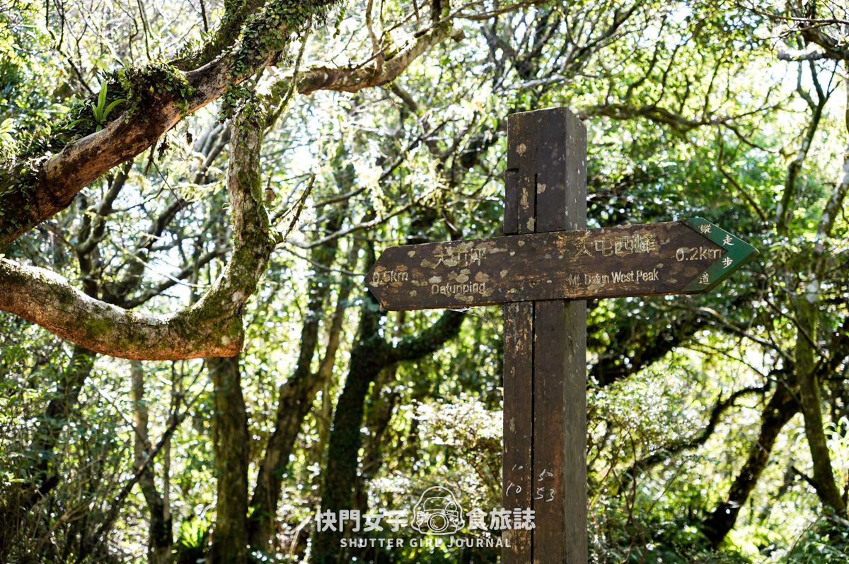 【大屯山連峰步道】陽明山小百岳大屯山主峰 x 台北大縱走第二段 x 挑戰西峰南峰濕滑拉繩泥巴地形
