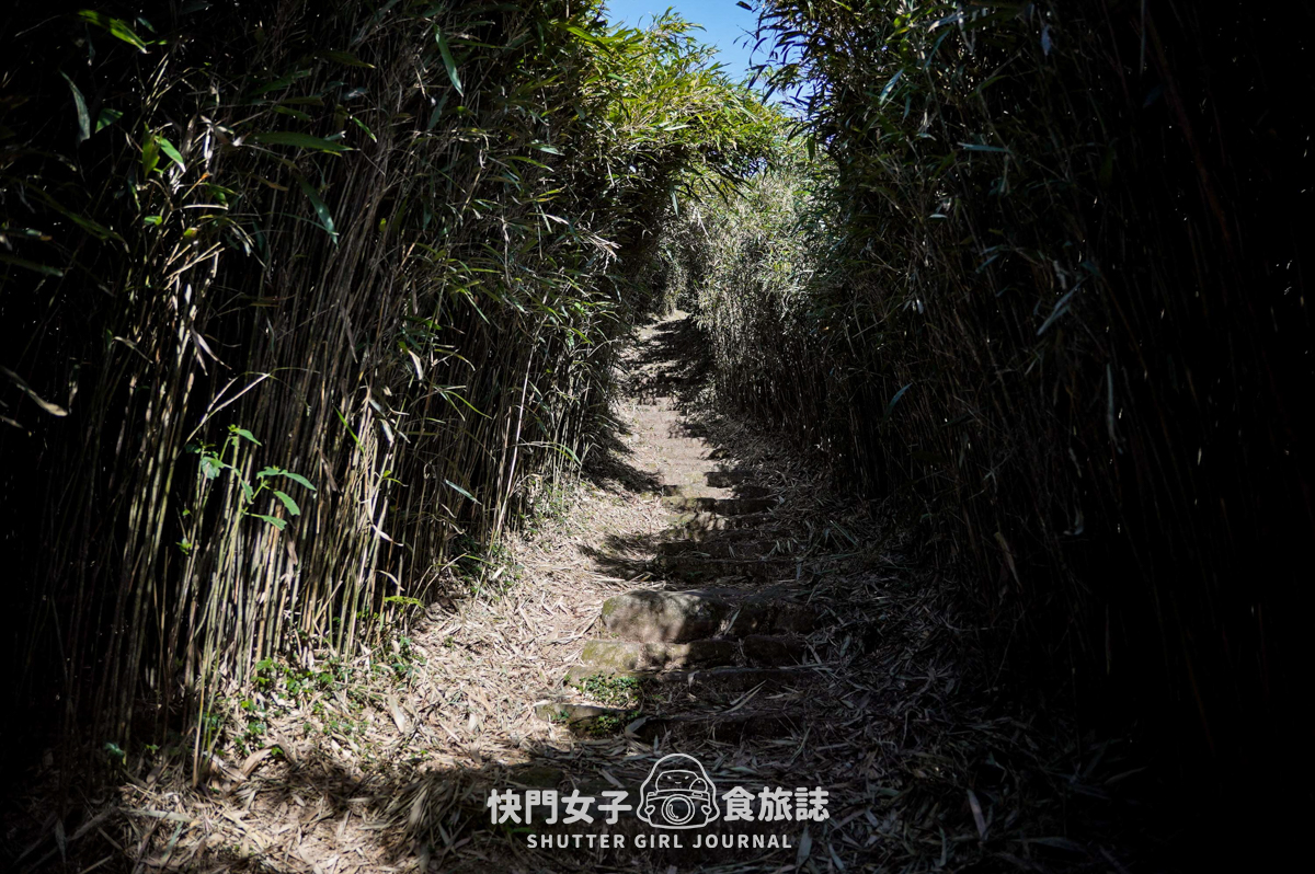 【大屯山連峰步道】陽明山小百岳大屯山主峰 x 台北大縱走第二段 x 挑戰西峰南峰濕滑拉繩泥巴地形