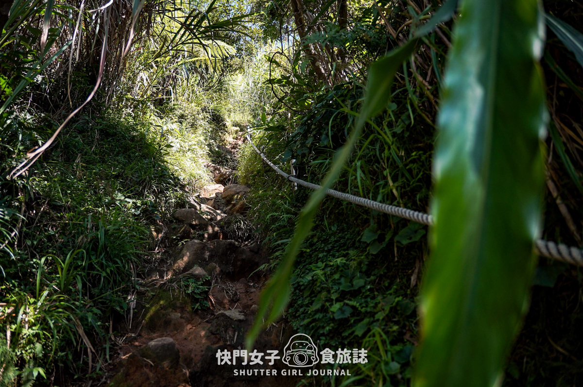 【大屯山連峰步道】陽明山小百岳大屯山主峰 x 台北大縱走第二段 x 挑戰西峰南峰濕滑拉繩泥巴地形