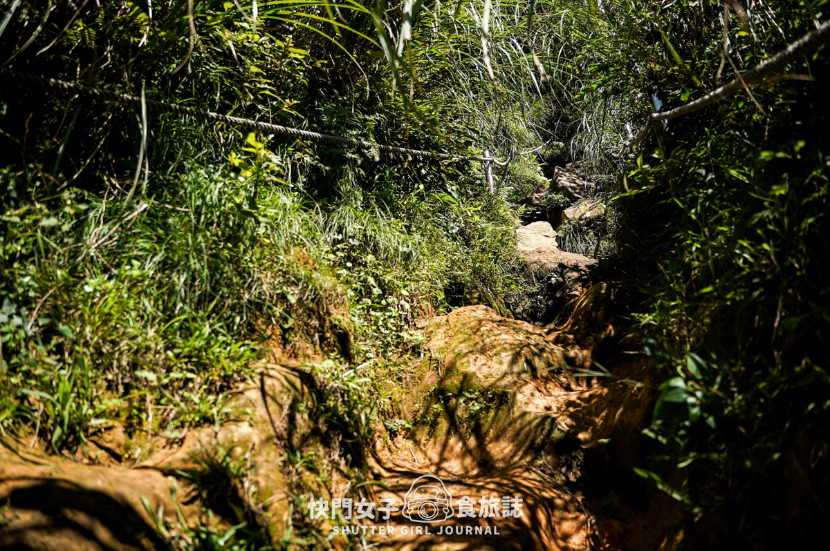 【大屯山連峰步道】陽明山小百岳大屯山主峰 x 台北大縱走第二段 x 挑戰西峰南峰濕滑拉繩泥巴地形