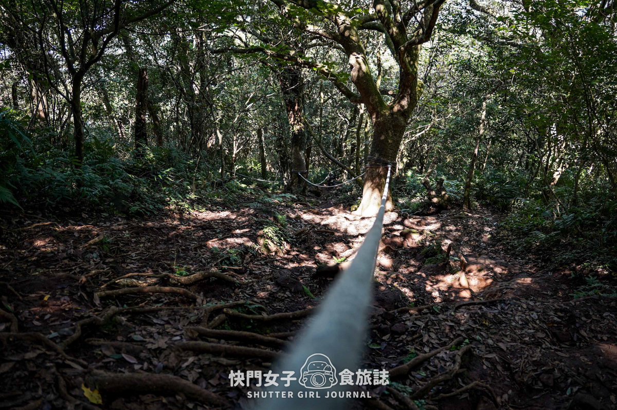 【大屯山連峰步道】陽明山小百岳大屯山主峰 x 台北大縱走第二段 x 挑戰西峰南峰濕滑拉繩泥巴地形