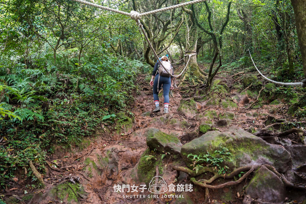 【大屯山連峰步道】陽明山小百岳大屯山主峰 x 台北大縱走第二段 x 挑戰西峰南峰濕滑拉繩泥巴地形