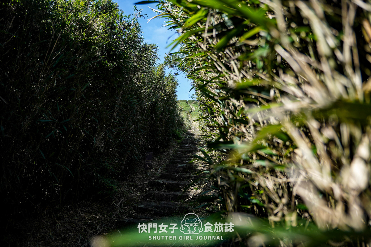 【大屯山連峰步道】陽明山小百岳大屯山主峰 x 台北大縱走第二段 x 挑戰西峰南峰濕滑拉繩泥巴地形