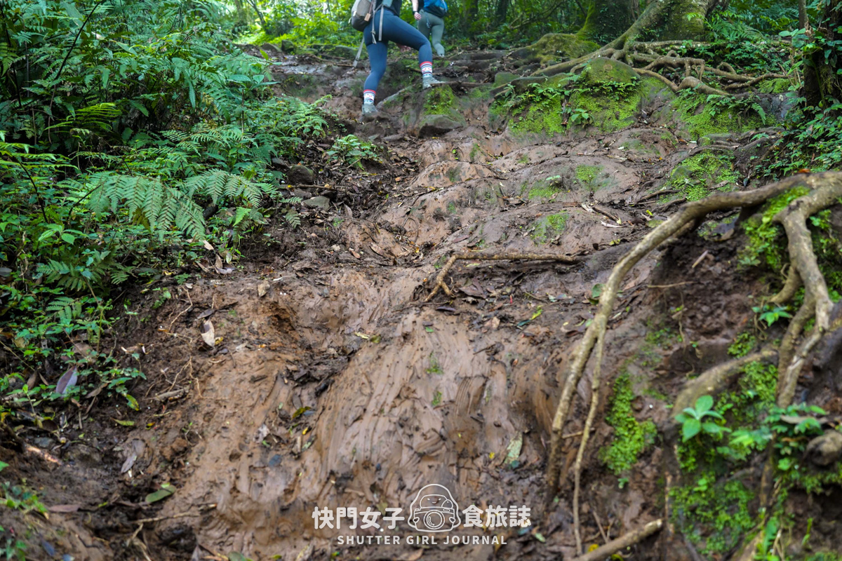 【大屯山連峰步道】陽明山小百岳大屯山主峰 x 台北大縱走第二段 x 挑戰西峰南峰濕滑拉繩泥巴地形