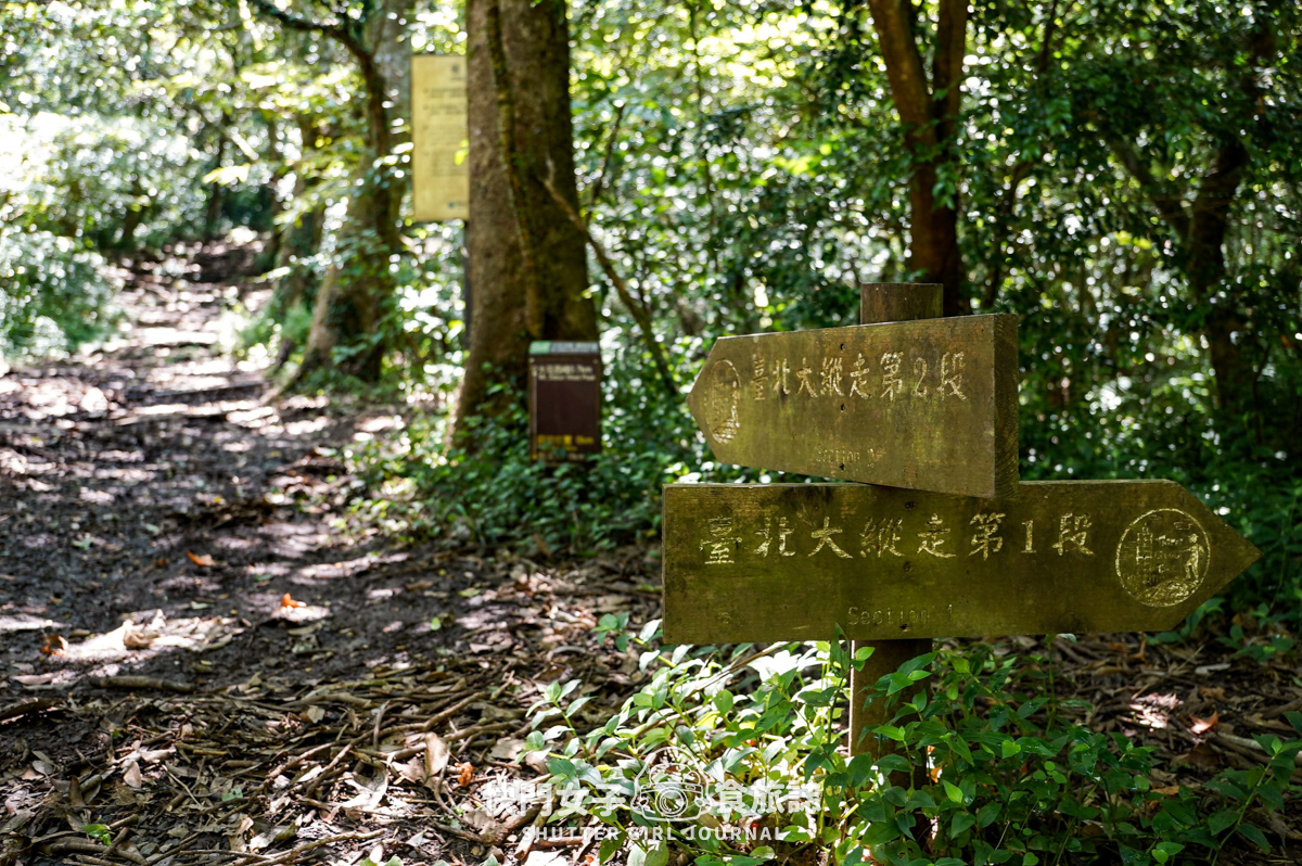 【大屯山連峰步道】陽明山小百岳大屯山主峰 x 台北大縱走第二段 x 挑戰西峰南峰濕滑拉繩泥巴地形