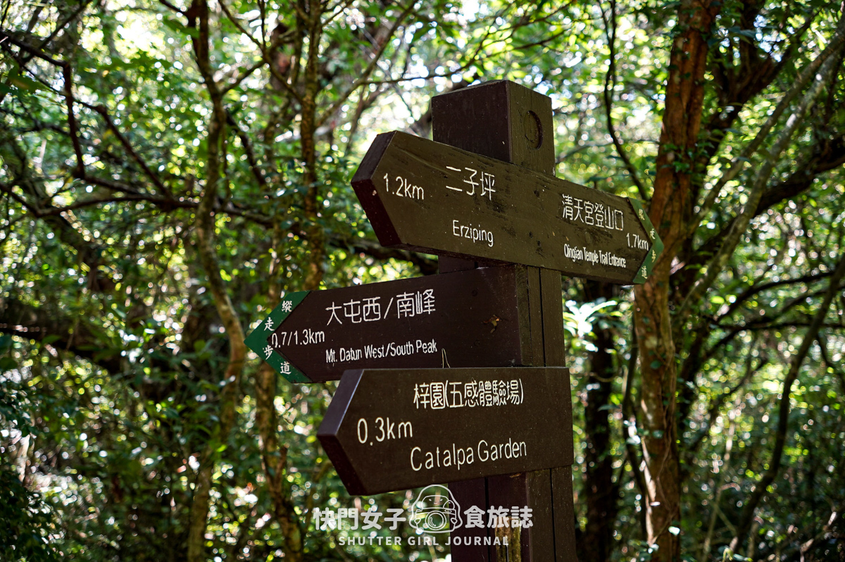 【大屯山連峰步道】陽明山小百岳大屯山主峰 x 台北大縱走第二段 x 挑戰西峰南峰濕滑拉繩泥巴地形
