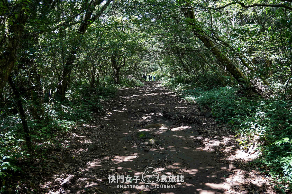 【大屯山連峰步道】陽明山小百岳大屯山主峰 x 台北大縱走第二段 x 挑戰西峰南峰濕滑拉繩泥巴地形
