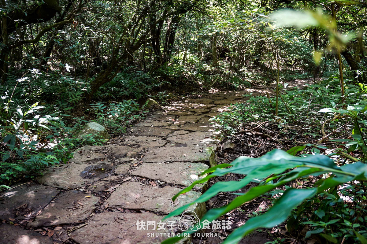 【大屯山連峰步道】陽明山小百岳大屯山主峰 x 台北大縱走第二段 x 挑戰西峰南峰濕滑拉繩泥巴地形