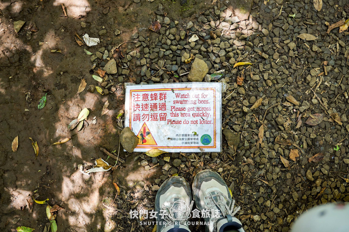 【大屯山連峰步道】陽明山小百岳大屯山主峰 x 台北大縱走第二段 x 挑戰西峰南峰濕滑拉繩泥巴地形