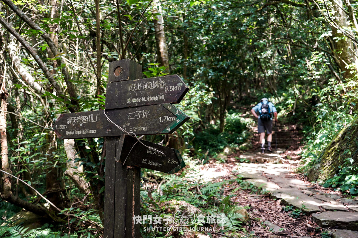 【大屯山連峰步道】陽明山小百岳大屯山主峰 x 台北大縱走第二段 x 挑戰西峰南峰濕滑拉繩泥巴地形