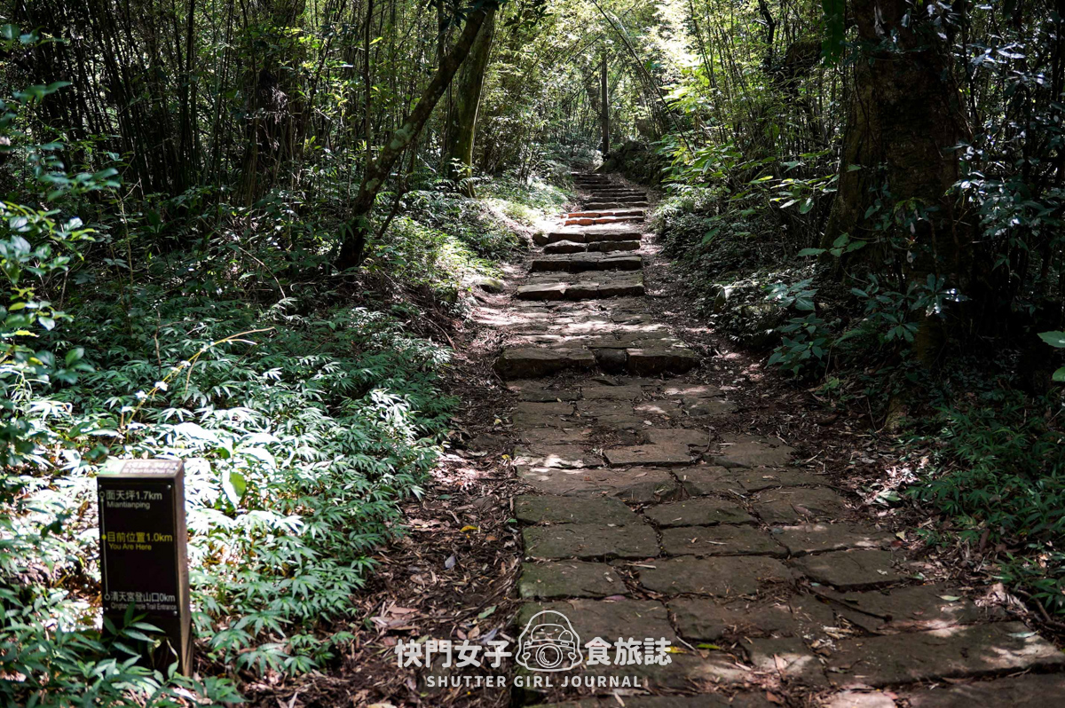 【大屯山連峰步道】陽明山小百岳大屯山主峰 x 台北大縱走第二段 x 挑戰西峰南峰濕滑拉繩泥巴地形