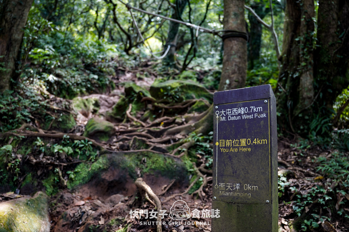 【大屯山連峰步道】陽明山小百岳大屯山主峰 x 台北大縱走第二段 x 挑戰西峰南峰濕滑拉繩泥巴地形