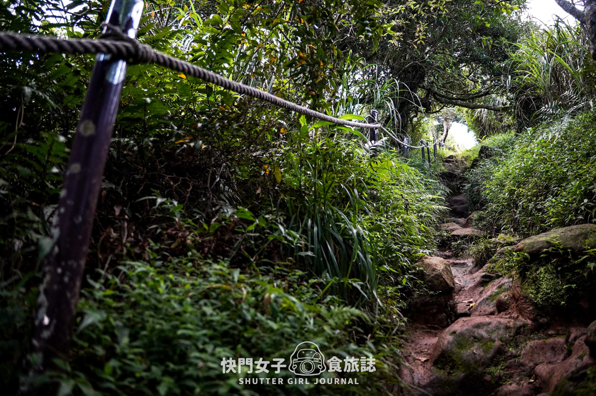 【大屯山連峰步道】陽明山小百岳大屯山主峰 x 台北大縱走第二段 x 挑戰西峰南峰濕滑拉繩泥巴地形