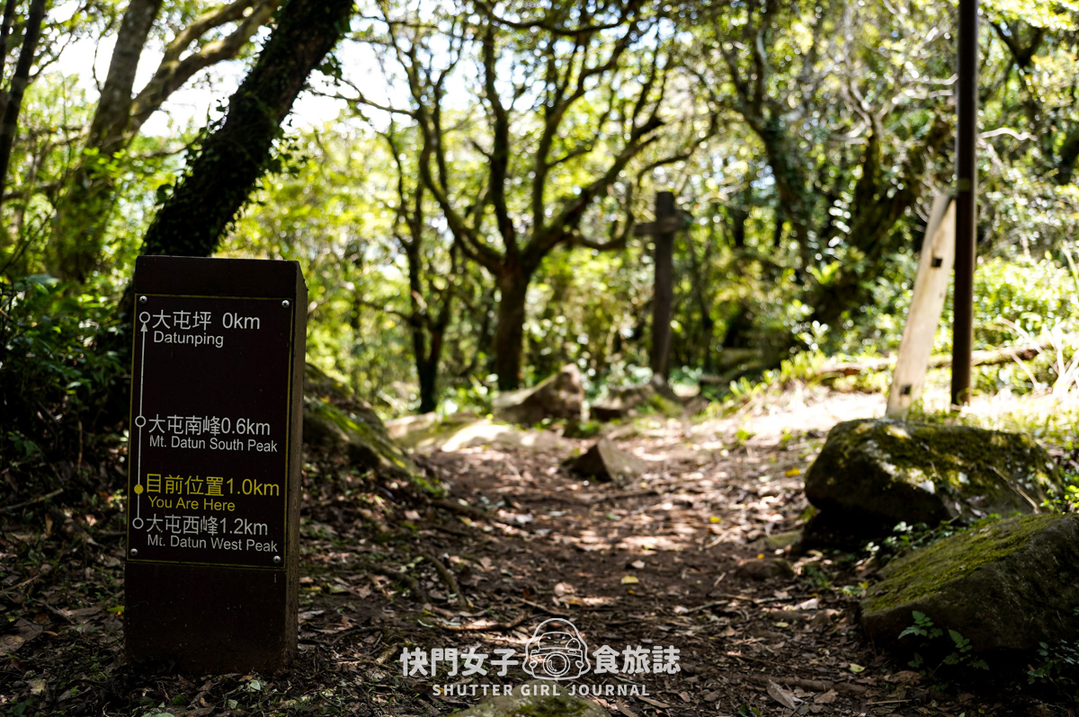 【大屯山連峰步道】陽明山小百岳大屯山主峰 x 台北大縱走第二段 x 挑戰西峰南峰濕滑拉繩泥巴地形